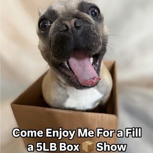 Live Show Women’s Clothing And Accessories Friday,April 17@9:37PM,Central Time